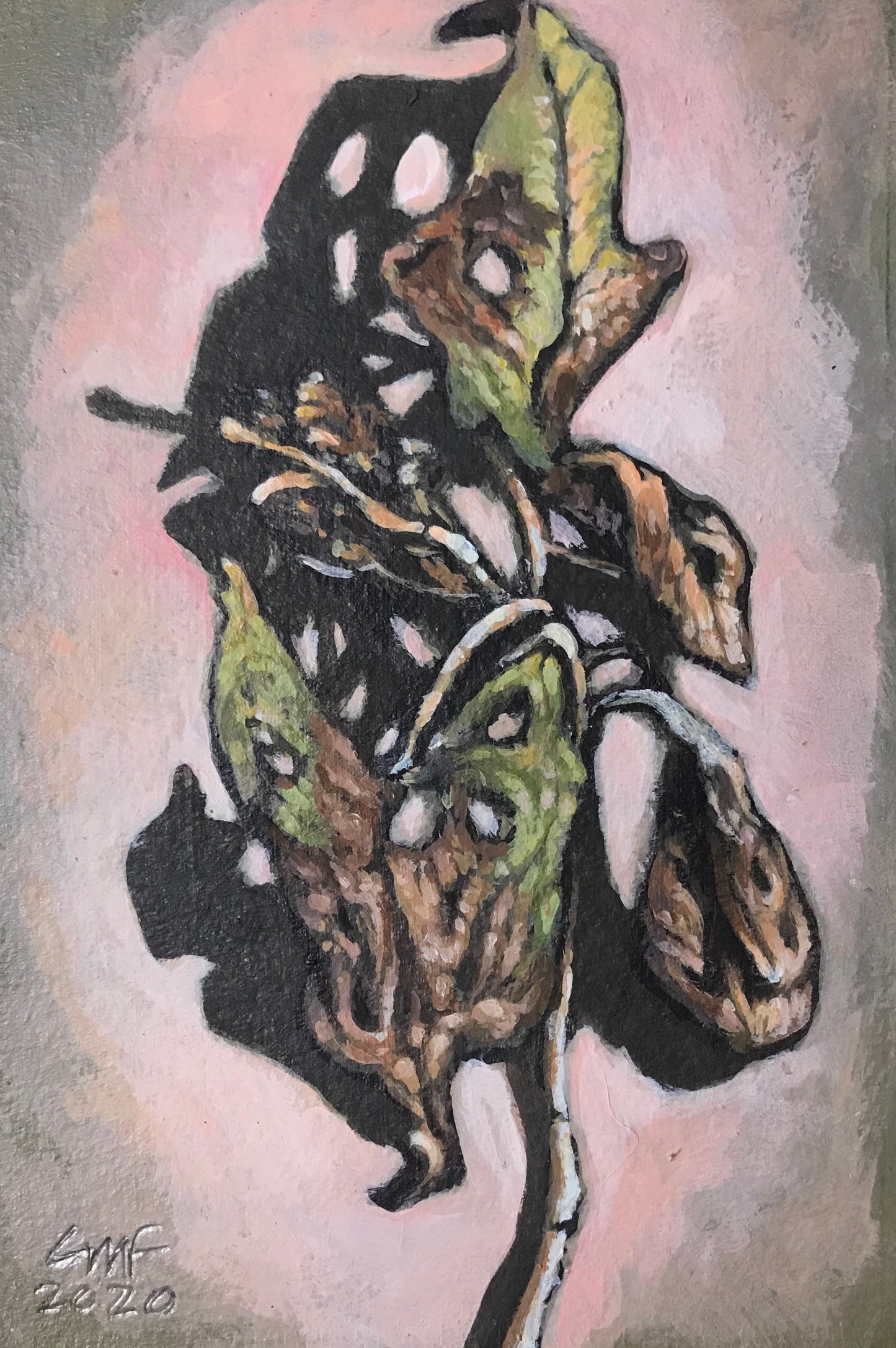 Gerardo Monsiváis, "Estudio de naturaleza seca 1", 2020