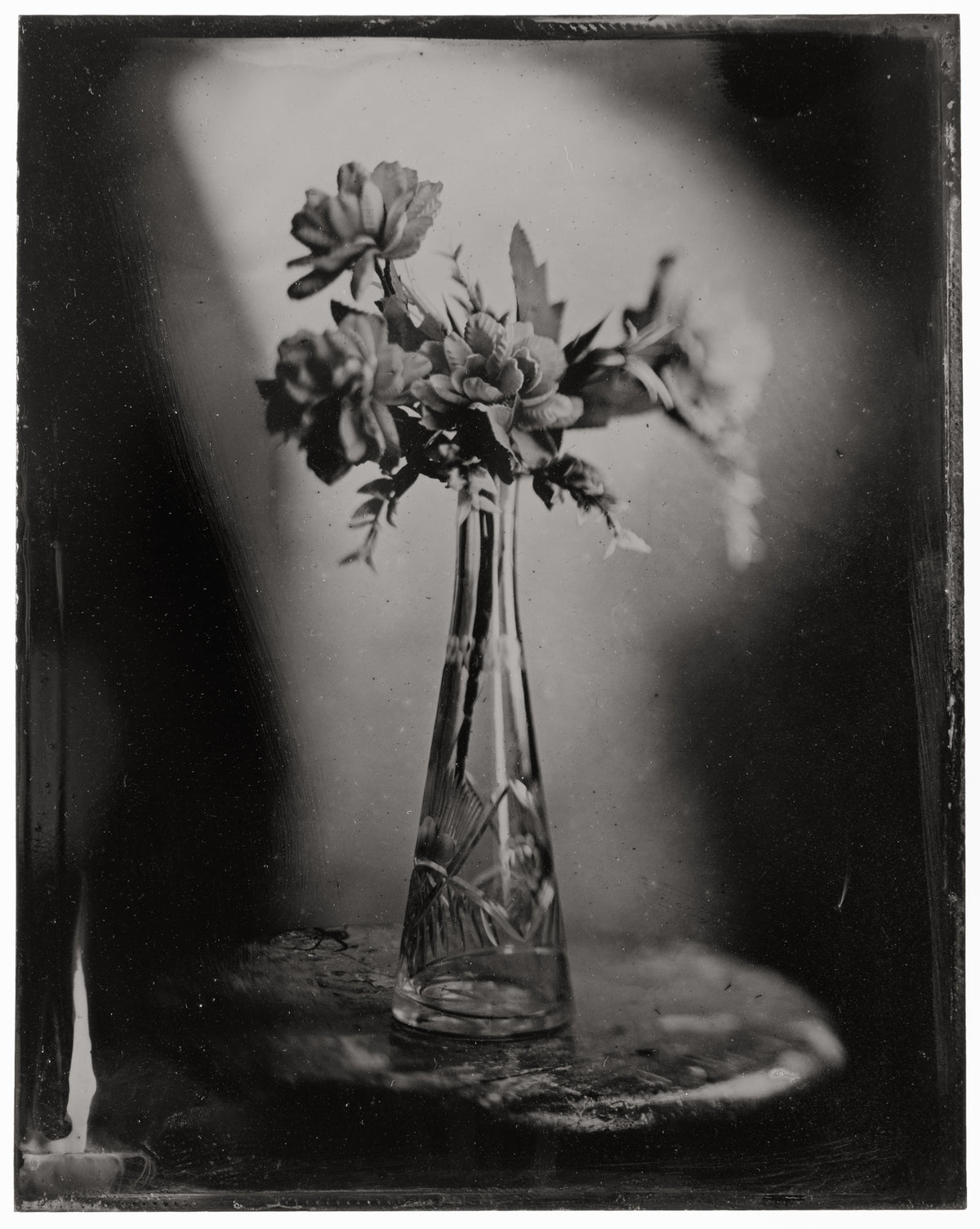 Alfredo Méndez, "Flora_1" de la serie "Bodegones", 2026