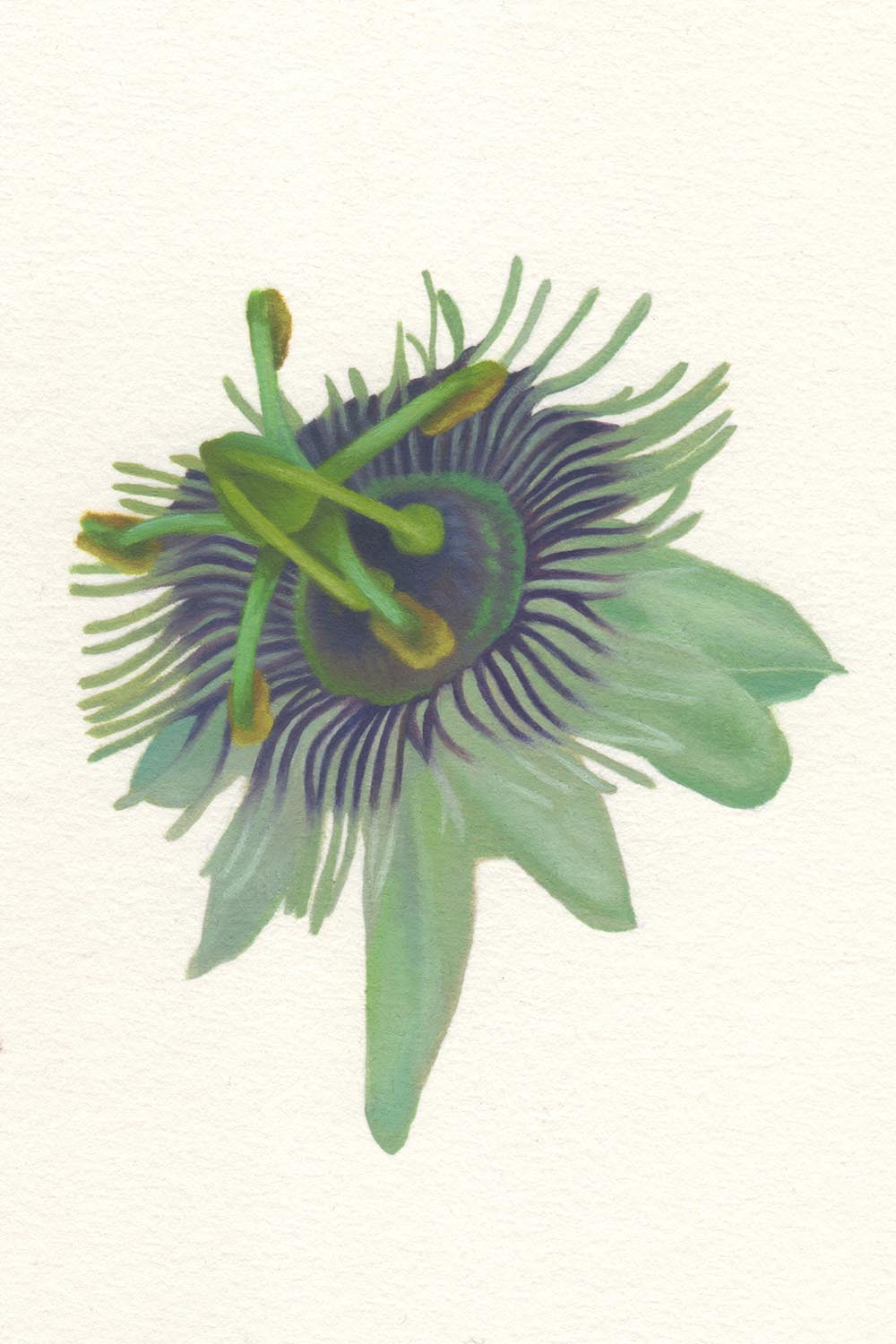 Gabriele Grones "Passiflora", 2025