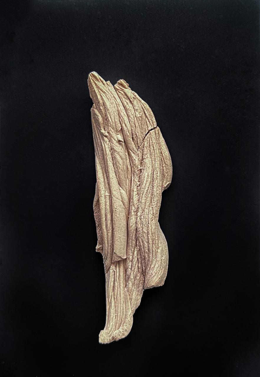 Victoria Chávez, "Gestos 1", 2025