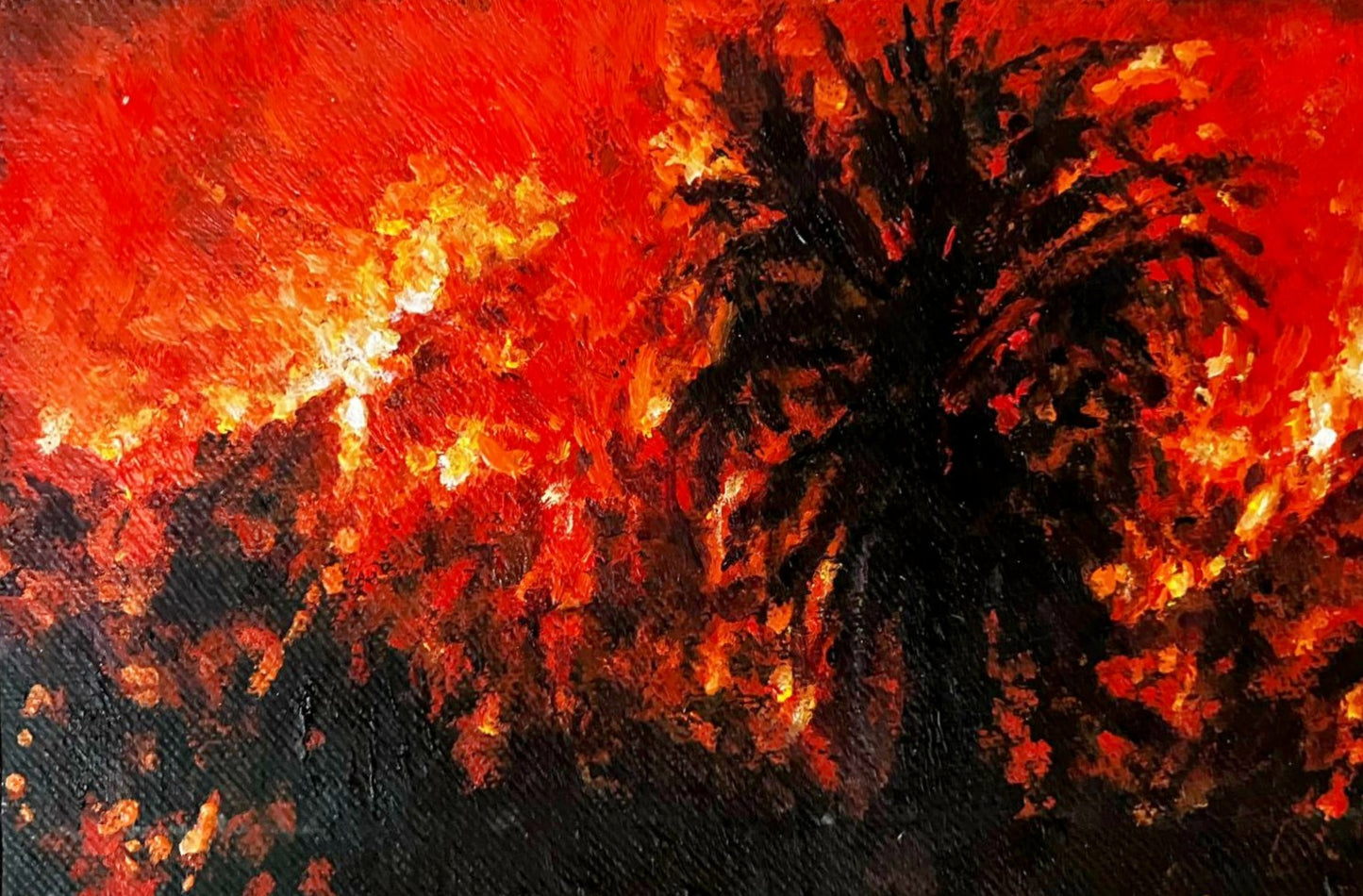 Enrique Minjares, "Incendio en Hollywood, 2025", 2025