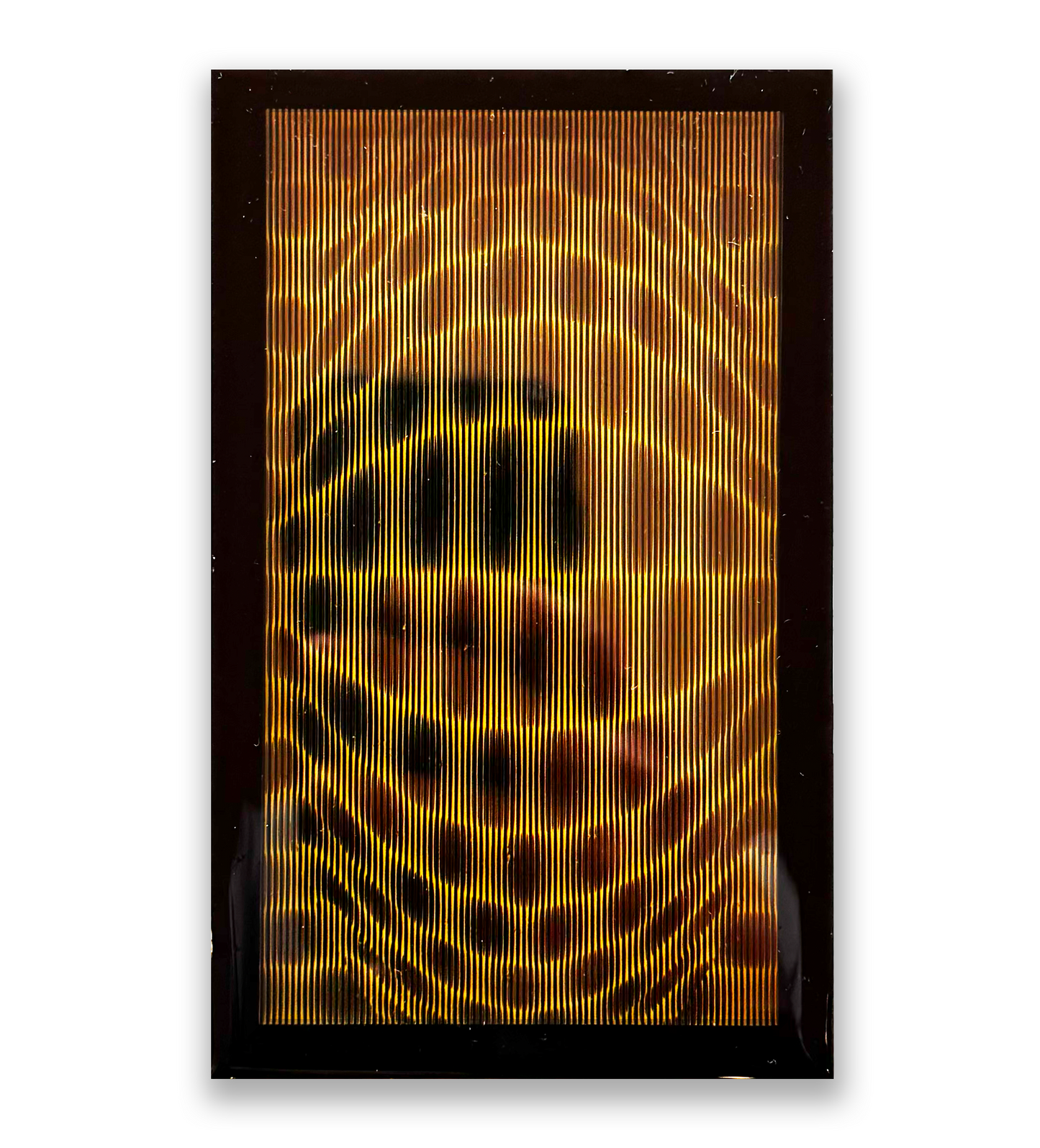 Raúl Cardozo, "Jaguar 001 (Alef)" de la serie "Cineticos", 2025
