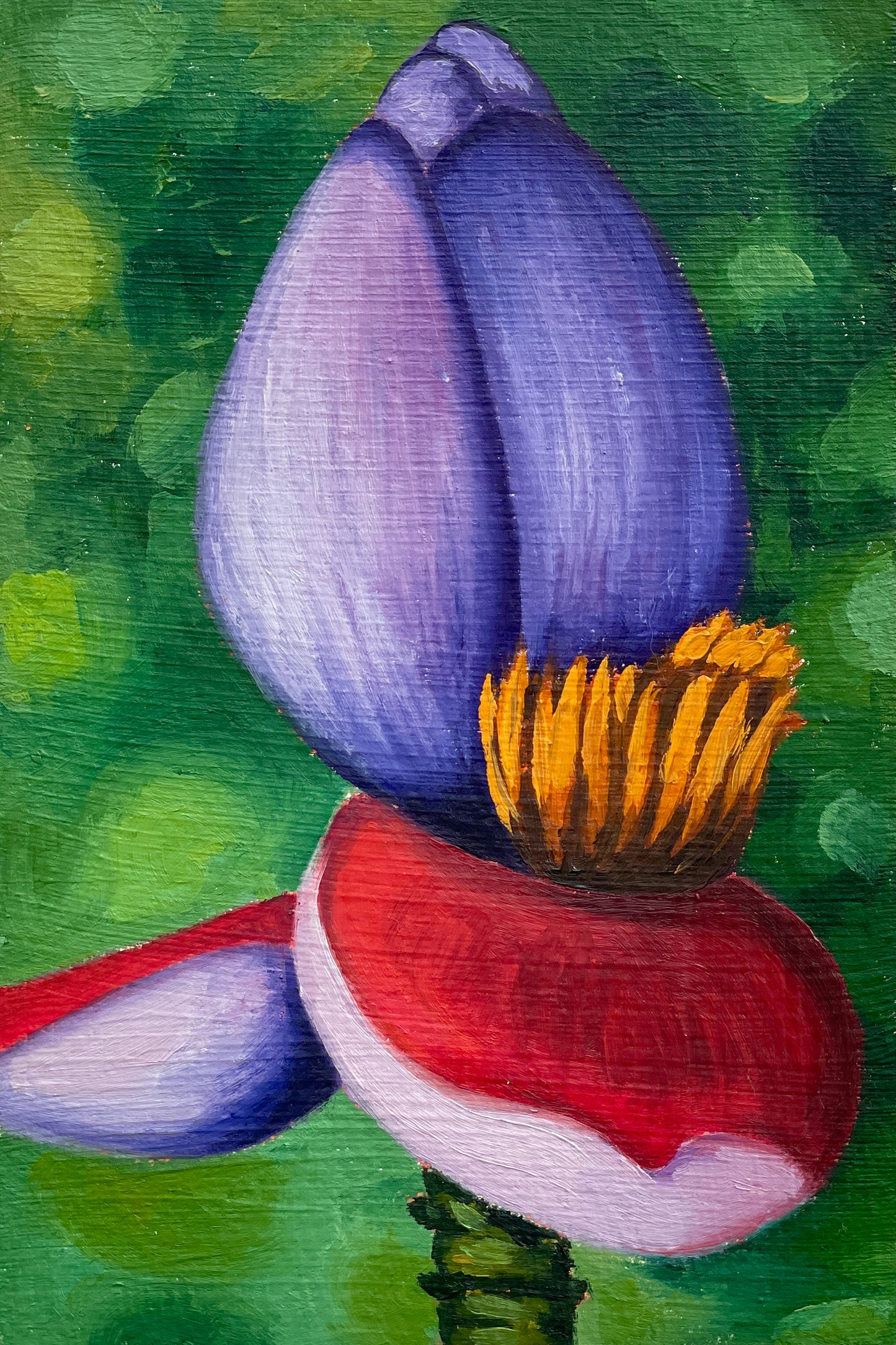 Kora Moya Rojo "Musa Paradisiaca" de la serie "Frutecer", 2025
