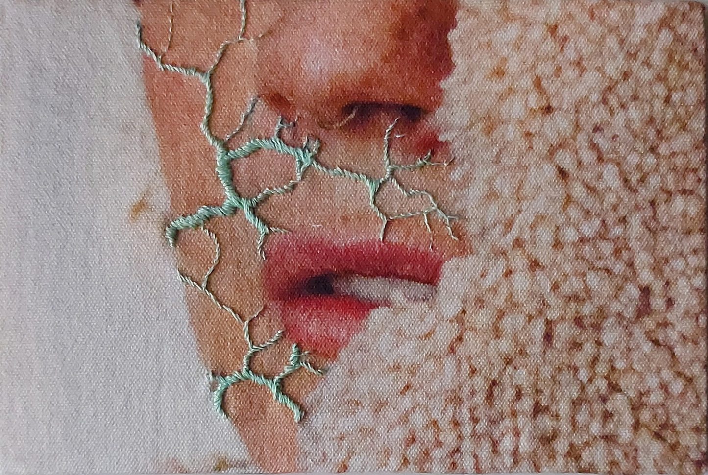 Juana Gómez, "Piel fotosensible", 2025
