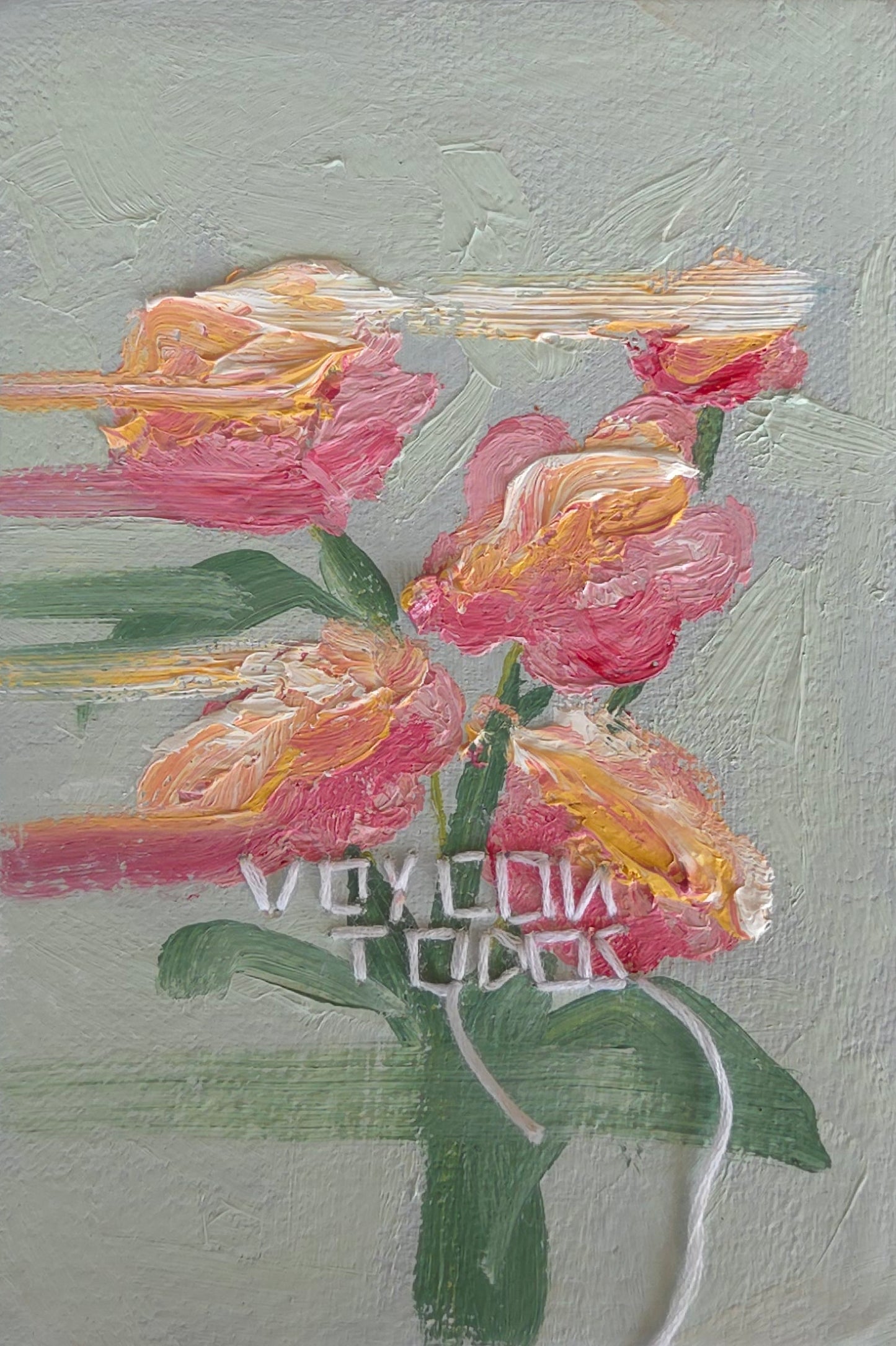 Mariana Lagunas, "Voy con todos, 2026"