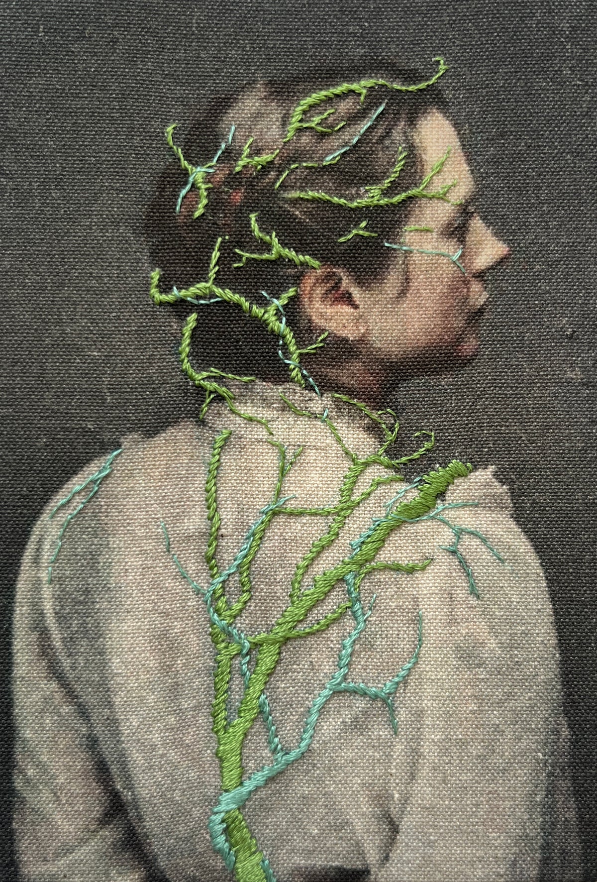 Juana Gómez, "Crecimiento de Plantas", 2026