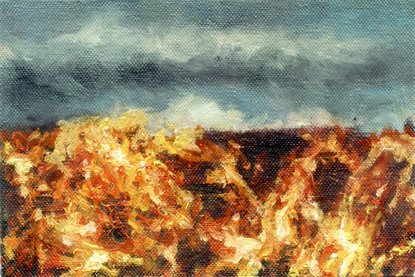 Enrique Minjares, "Fuego 6-24", 2024
