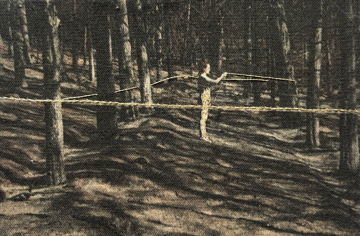 Juana Gómez, "Reforestar", 2026