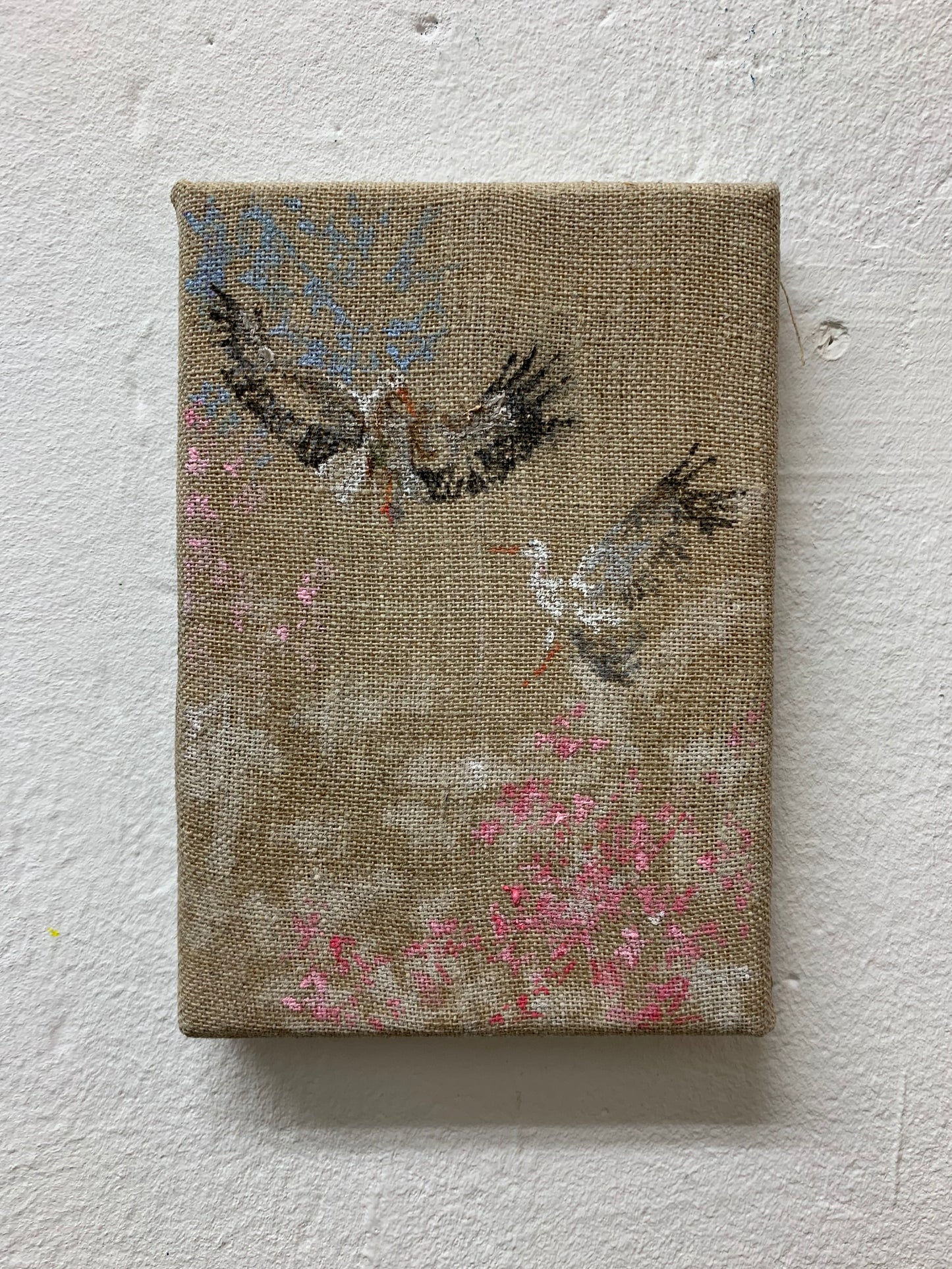 Carlos Romano, "Vuelo azul, rosa", 2025