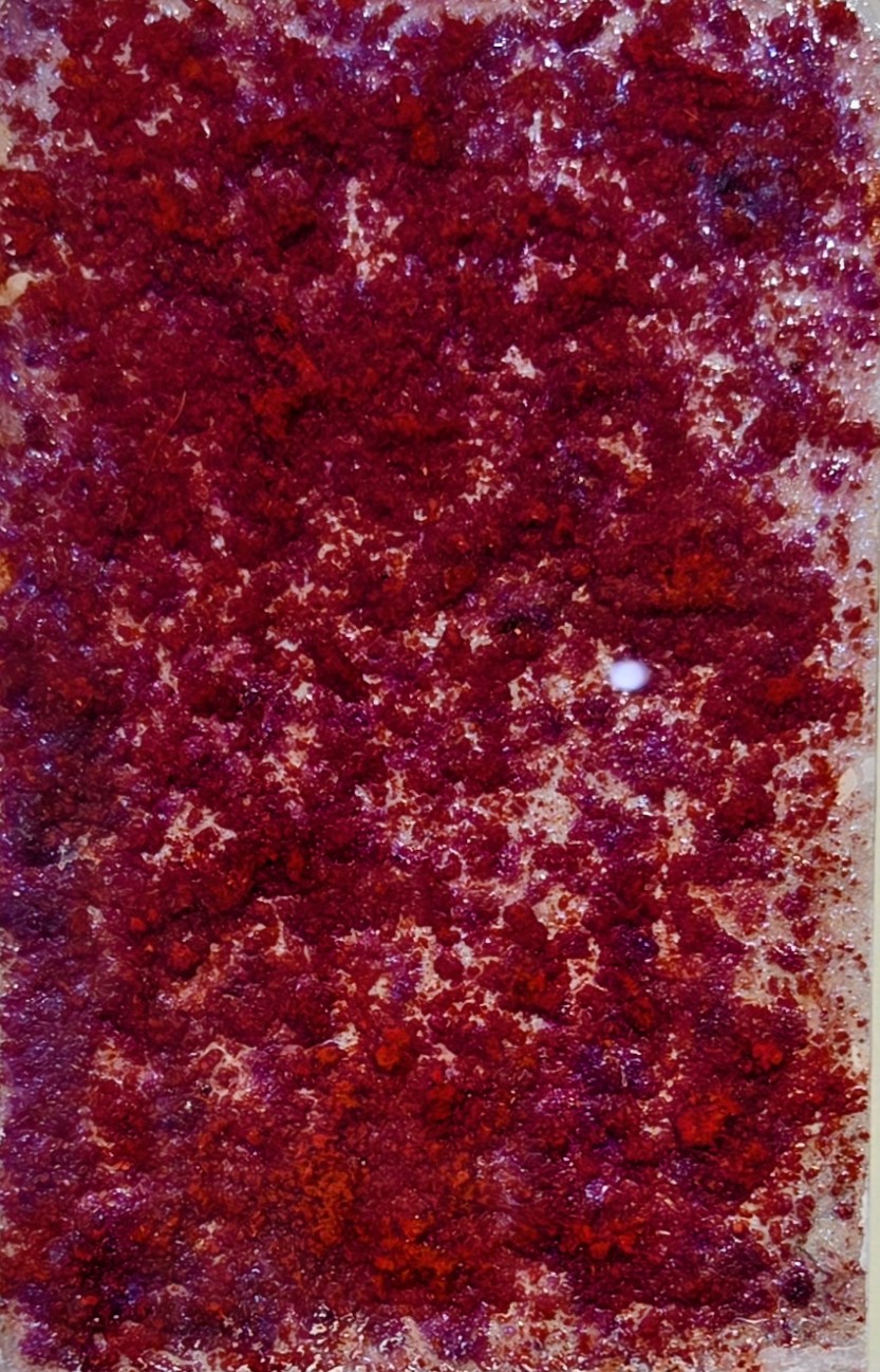 Gustavo Argüello, "Rojo", 2026