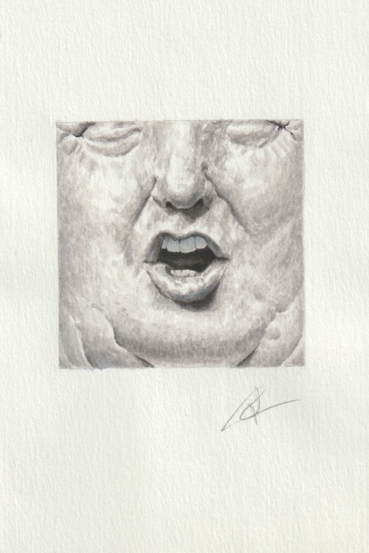 Mateo Pizarro, "Anonymous Jowls I", 2025
