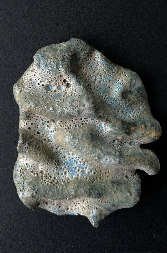 Victoria Chávez, "Entrañas X", 2025