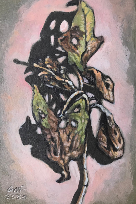 Gerardo Monsiváis, "Estudio de naturaleza seca 1", 2020
