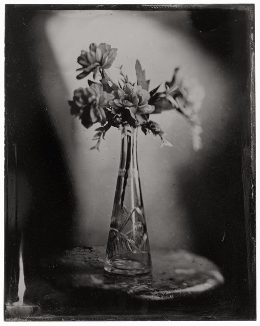 Alfredo Méndez, "Flora_1" de la serie "Bodegones", 2026