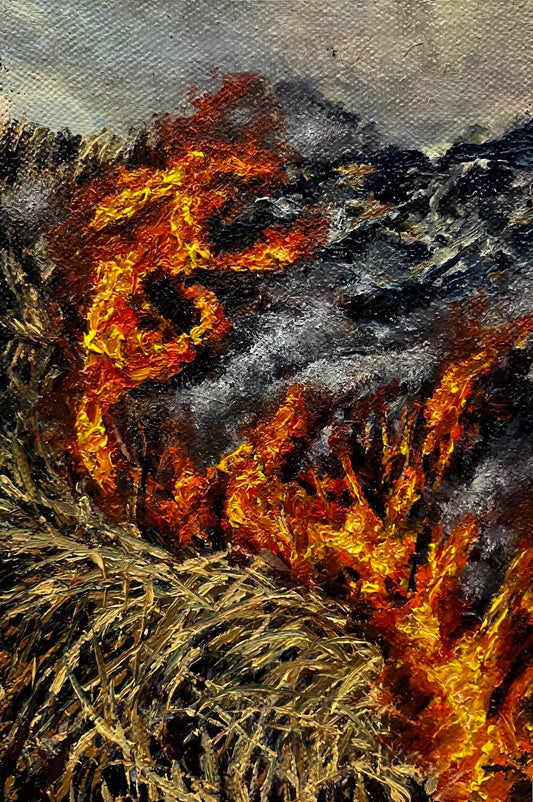 Enrique Minjares, Fuego ecuatoriano (2024)