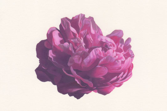 Gabriele Grones "Peony 1", 2026