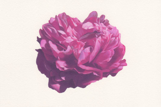 Gabriele Grones "Peony 3", 2026