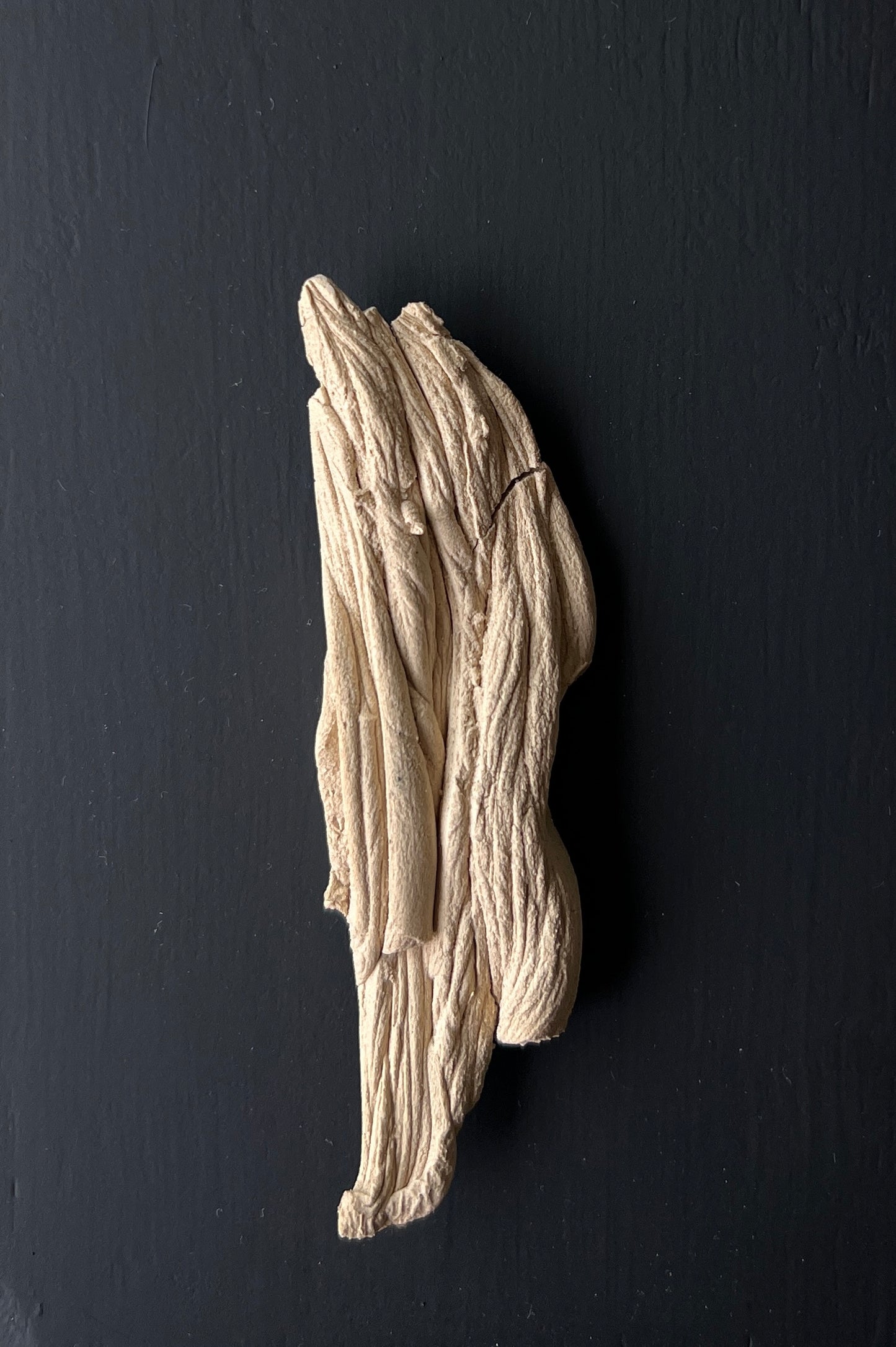Victoria Chávez, "Gestos 1", 2025