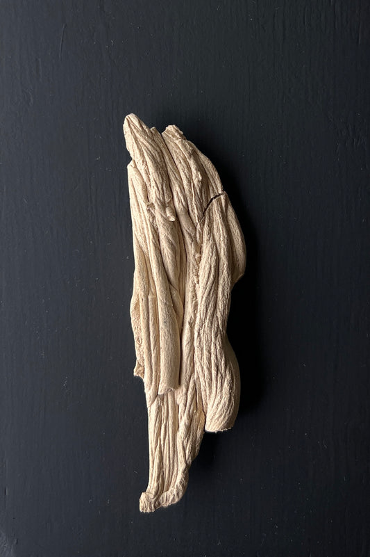 Victoria Chávez, "Gestos 1", 2025