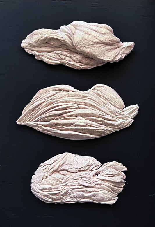 Victoria Chávez, "Gestos 3", 2025