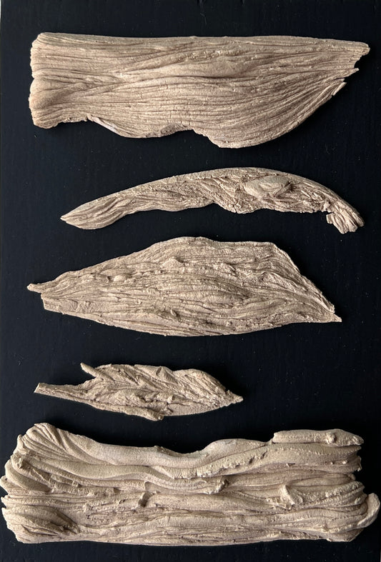 Victoria Chávez, "Gestos 5", 2025