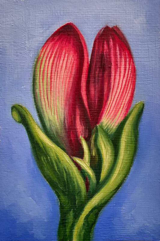 Kora Moya Rojo "Hippeastrum" de la serie "Frutecer", 2025