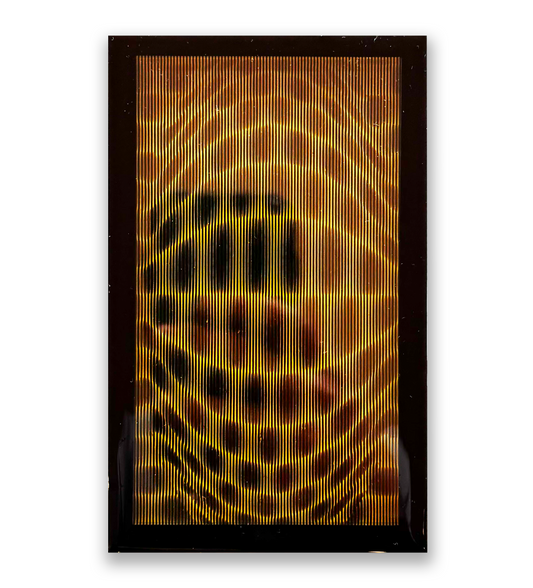 Raúl Cardozo, "Jaguar 001 (Alef)" de la serie "Cineticos", 2025