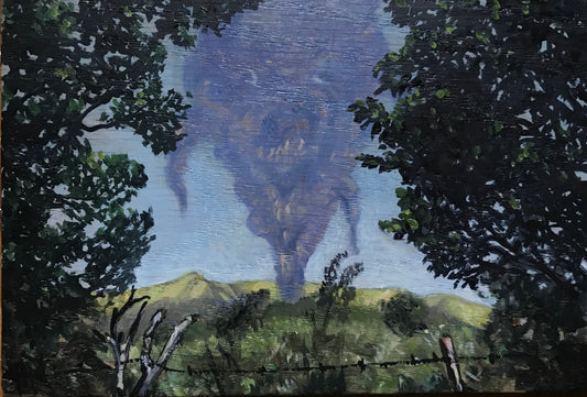 Gerardo Monsiváis, "Paisajes anómalos 3", de la serie "Naturaleza cambiante", 2020