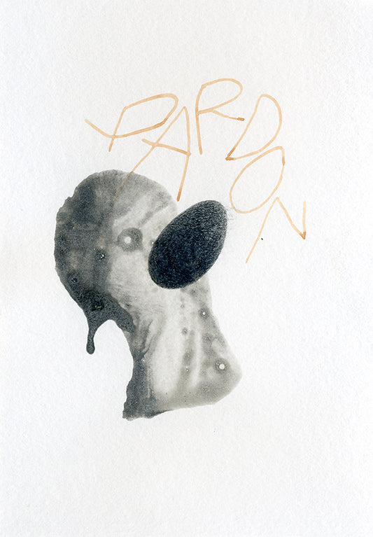 Luis Rodrigo Medina, "Pardon (Un).", 2025