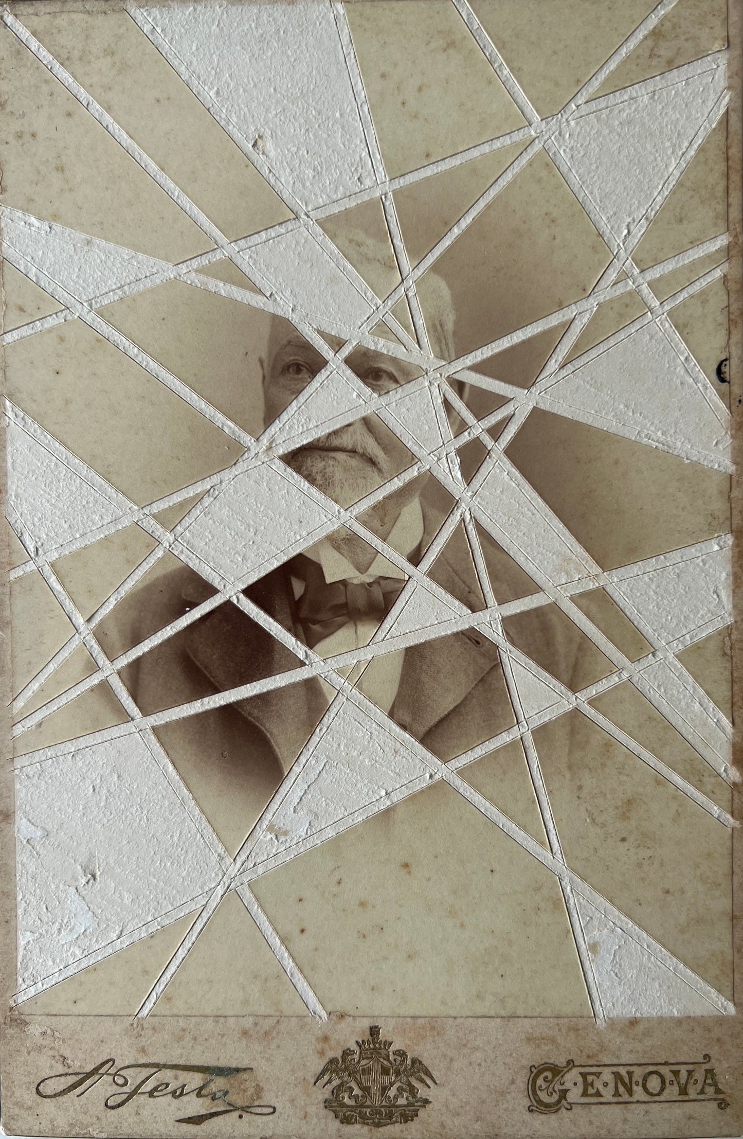 Nico Mingozzi "n.1461", 2023